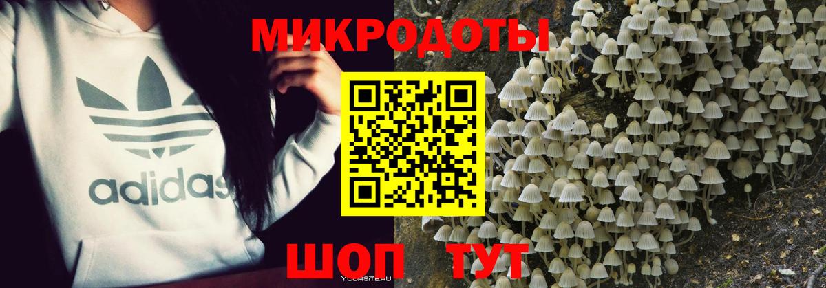 Галлюциногенные грибы ЛСД  Вход с VPN  Раменское 
